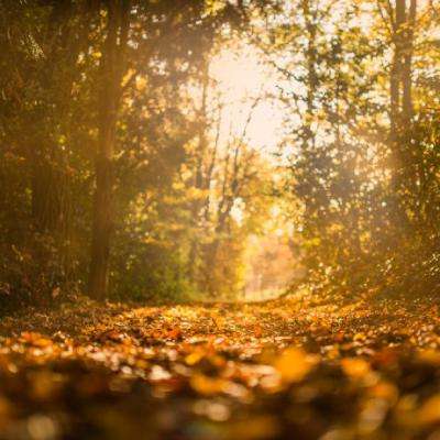 奥亚国际-登录入口