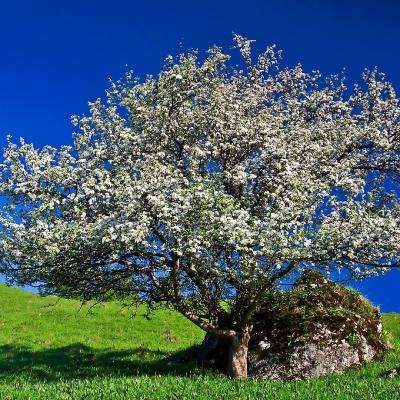 半岛登录入口-登录入口