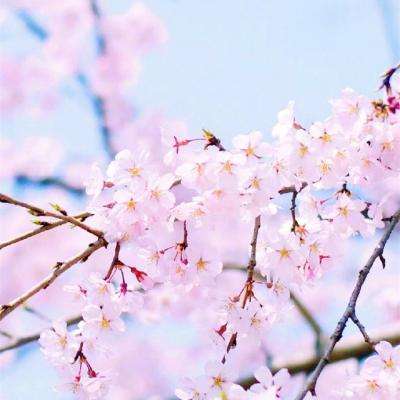 赢三张免费游戏app下载